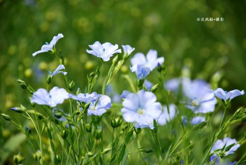 【環(huán)保政策】環(huán)評新政出臺后，業(yè)主選擇環(huán)評單位要考慮這些因素！